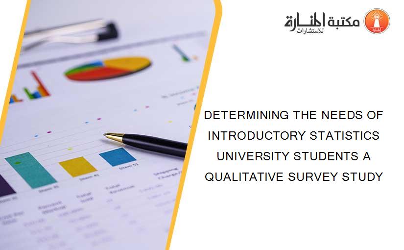 DETERMINING THE NEEDS OF INTRODUCTORY STATISTICS UNIVERSITY STUDENTS A QUALITATIVE SURVEY STUDY