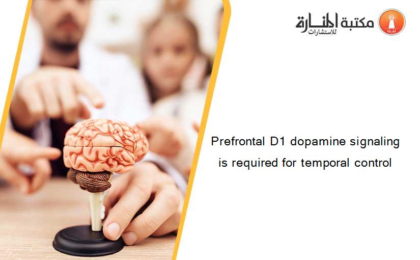 Prefrontal D1 dopamine signaling is required for temporal control
