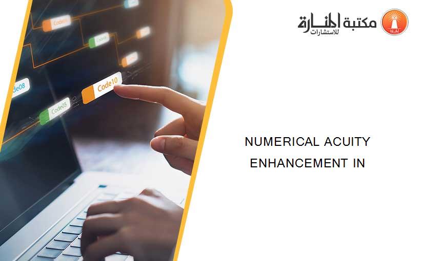 NUMERICAL ACUITY ENHANCEMENT IN