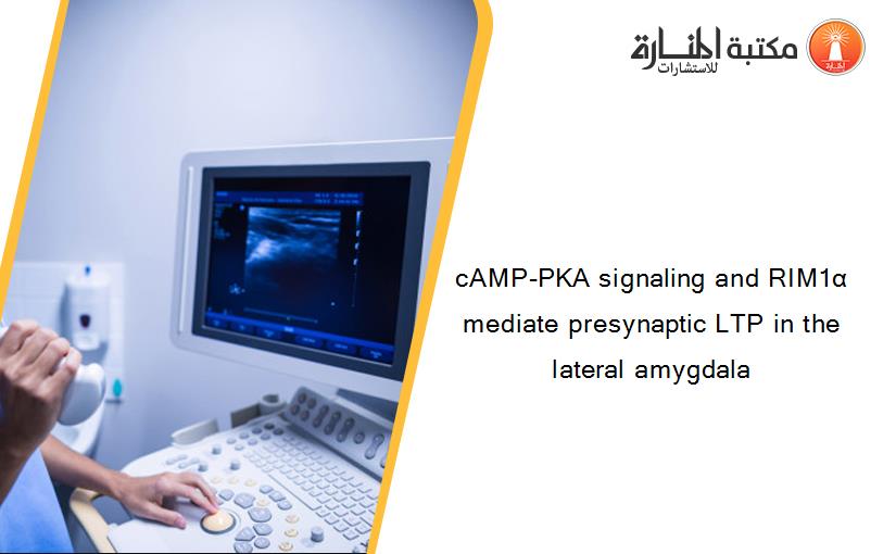 cAMP-PKA signaling and RIM1α mediate presynaptic LTP in the lateral amygdala