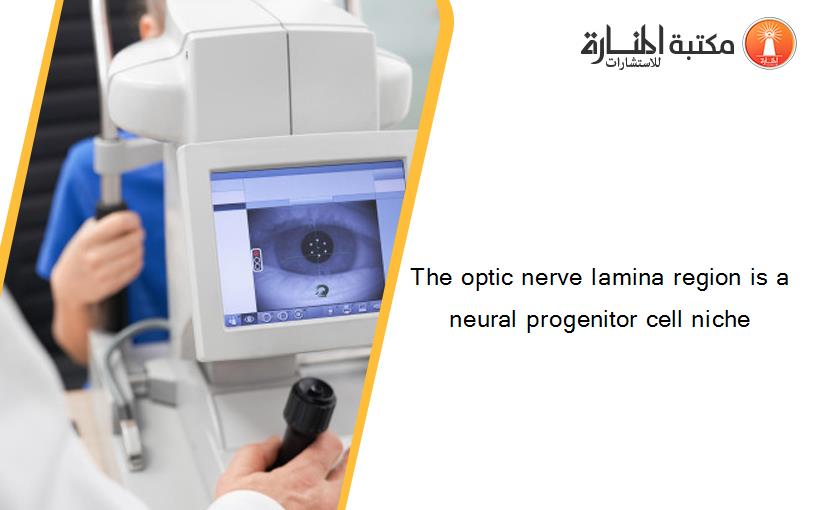 The optic nerve lamina region is a neural progenitor cell niche