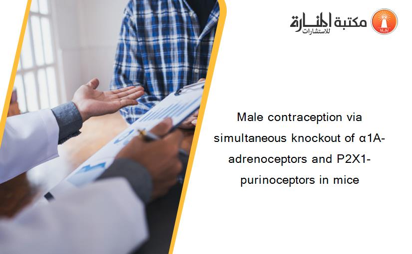 Male contraception via simultaneous knockout of α1A-adrenoceptors and P2X1-purinoceptors in mice