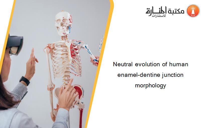 Neutral evolution of human enamel–dentine junction morphology