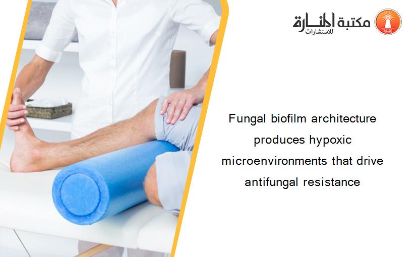 Fungal biofilm architecture produces hypoxic microenvironments that drive antifungal resistance