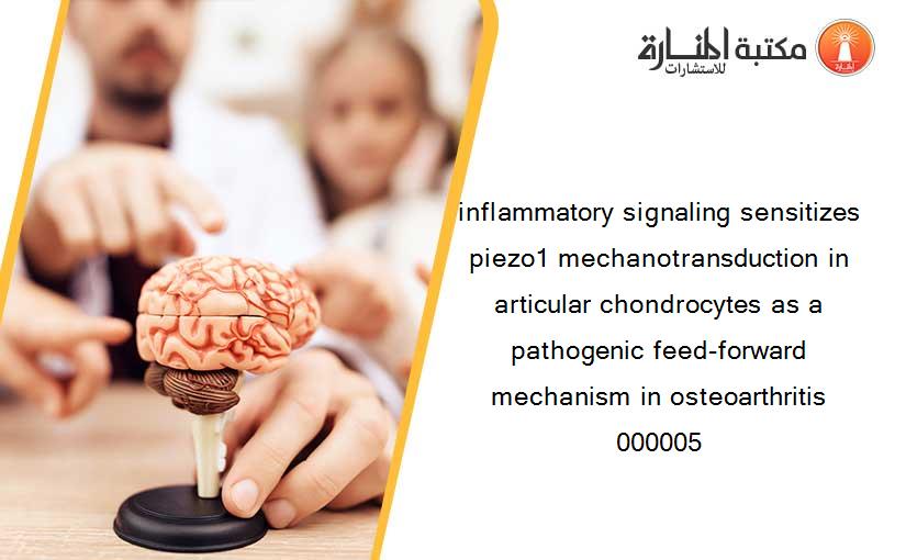 inflammatory signaling sensitizes piezo1 mechanotransduction in articular chondrocytes as a pathogenic feed-forward mechanism in osteoarthritis 000005