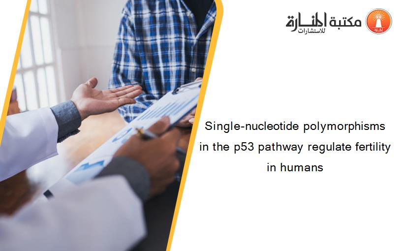 Single-nucleotide polymorphisms in the p53 pathway regulate fertility in humans