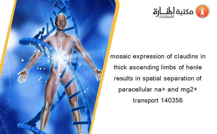 mosaic expression of claudins in thick ascending limbs of henle results in spatial separation of paracellular na+ and mg2+ transport 140356