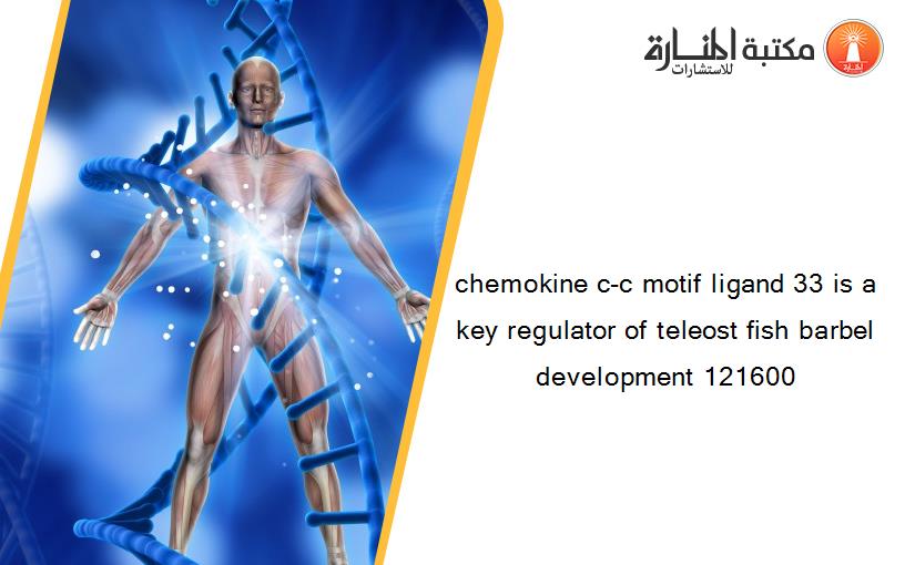 chemokine c-c motif ligand 33 is a key regulator of teleost fish barbel development 121600