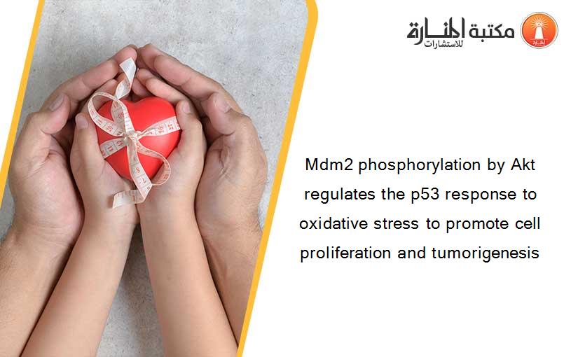 Mdm2 phosphorylation by Akt regulates the p53 response to oxidative stress to promote cell proliferation and tumorigenesis