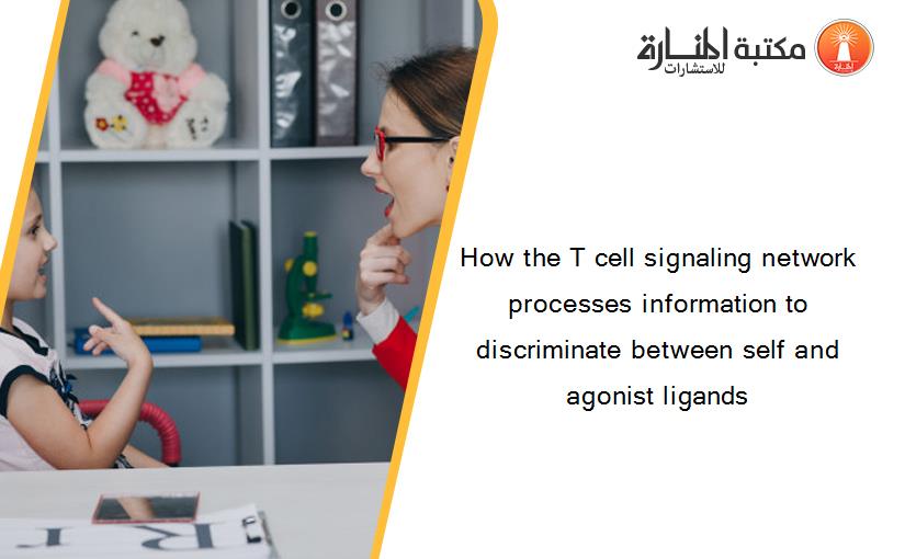 How the T cell signaling network processes information to discriminate between self and agonist ligands