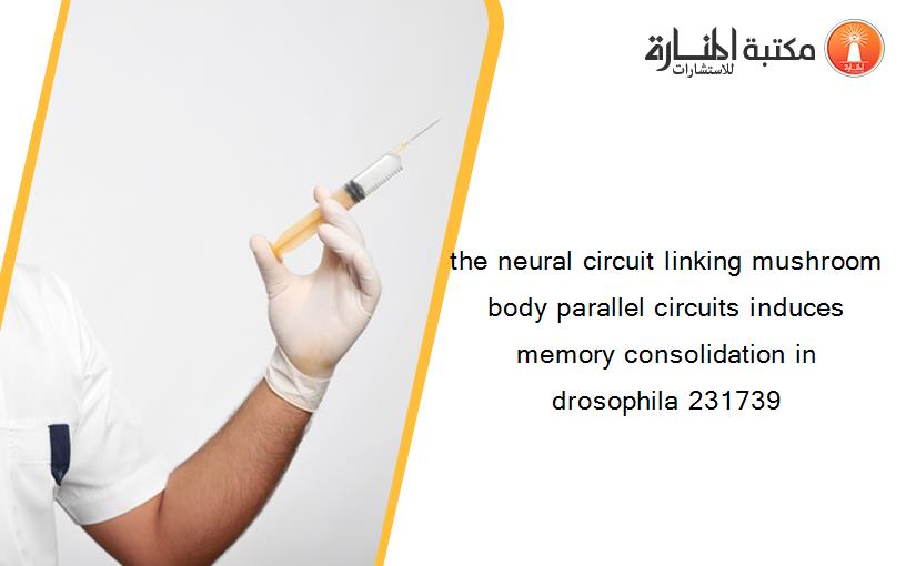 the neural circuit linking mushroom body parallel circuits induces memory consolidation in drosophila 231739