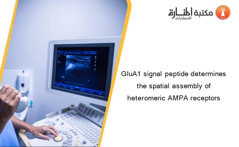 GluA1 signal peptide determines the spatial assembly of heteromeric AMPA receptors