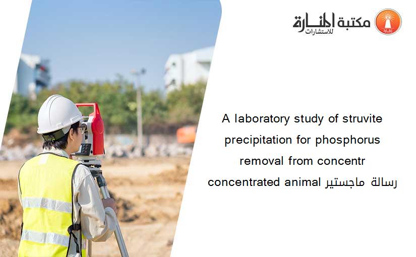 A laboratory study of struvite precipitation for phosphorus removal from concentr concentrated animal رسالة ماجستير