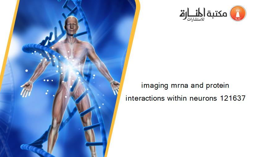 imaging mrna and protein interactions within neurons 121637