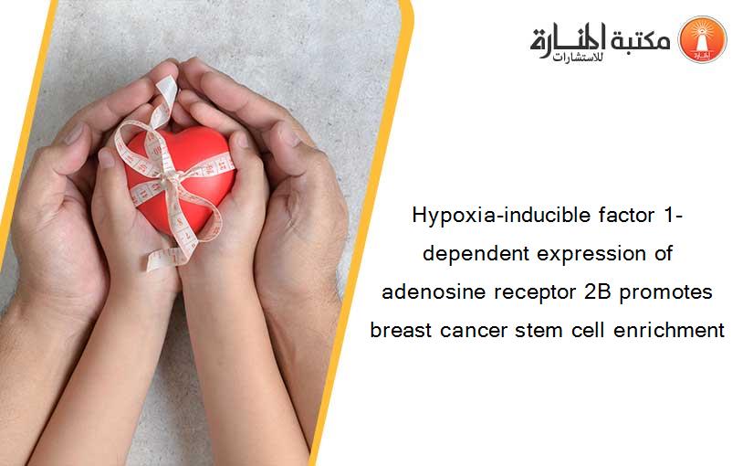 Hypoxia-inducible factor 1-dependent expression of adenosine receptor 2B promotes breast cancer stem cell enrichment