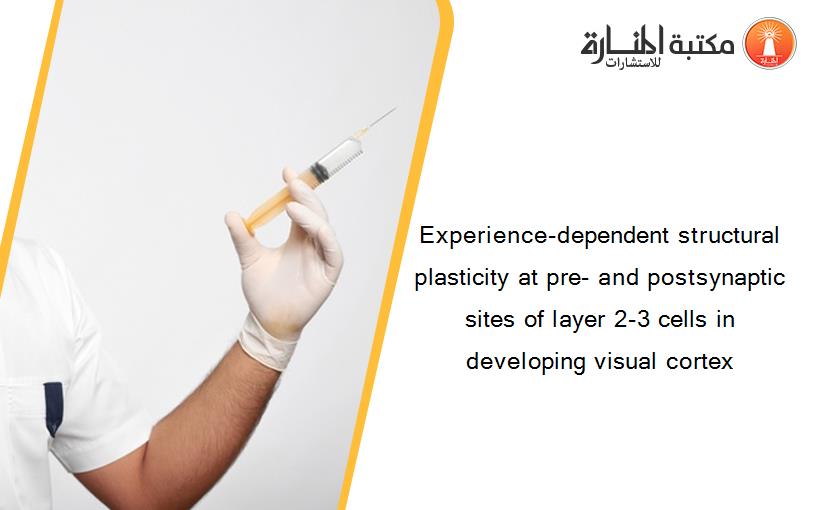 Experience-dependent structural plasticity at pre- and postsynaptic sites of layer 2-3 cells in developing visual cortex