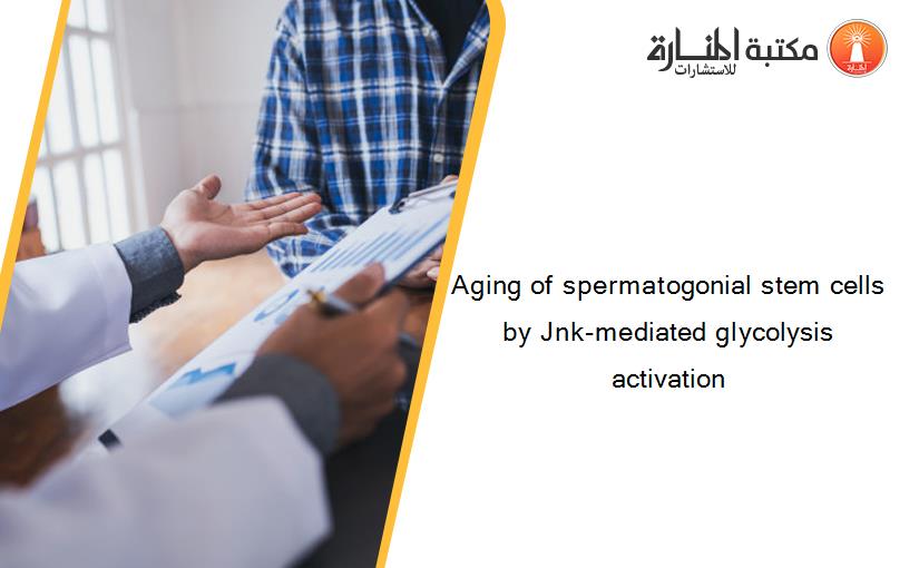 Aging of spermatogonial stem cells by Jnk-mediated glycolysis activation