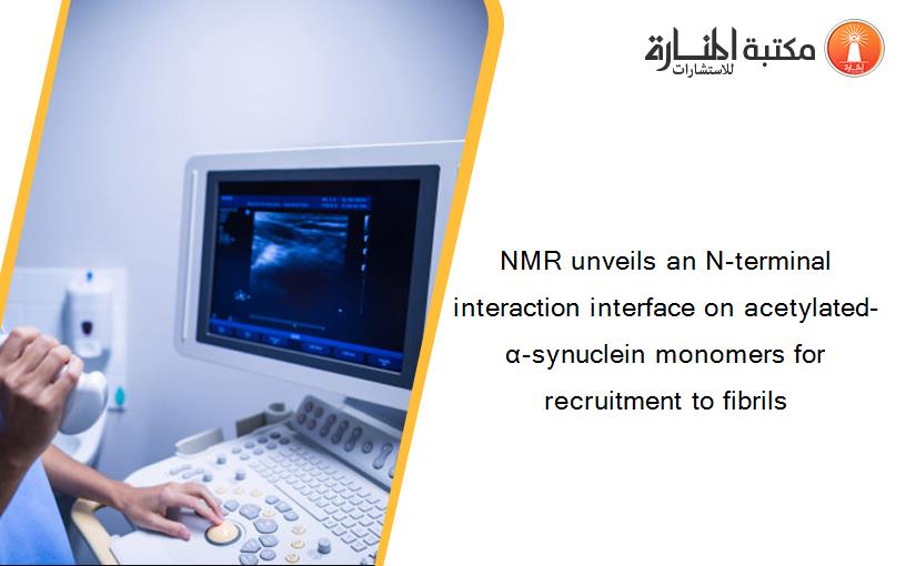 NMR unveils an N-terminal interaction interface on acetylated-α-synuclein monomers for recruitment to fibrils