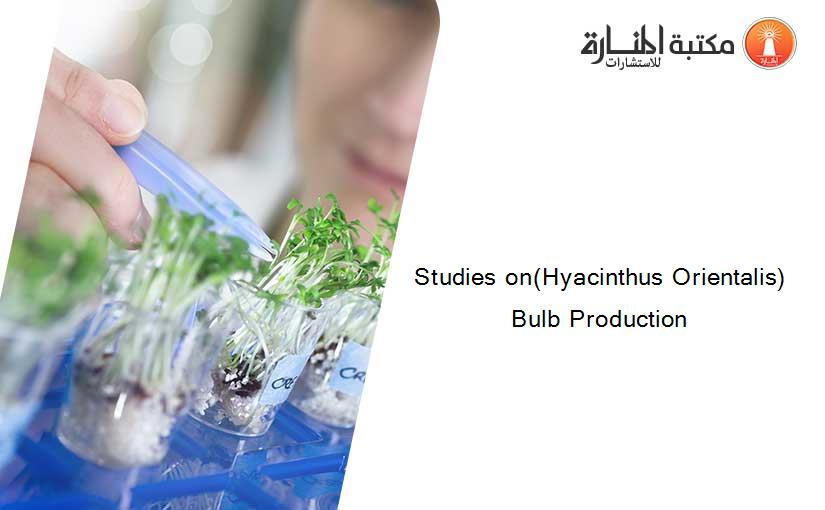 Studies on(Hyacinthus Orientalis) Bulb Production