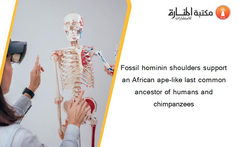 Fossil hominin shoulders support an African ape-like last common ancestor of humans and chimpanzees