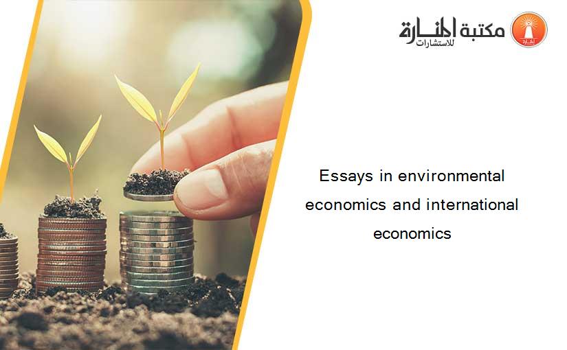Essays in environmental economics and international economics