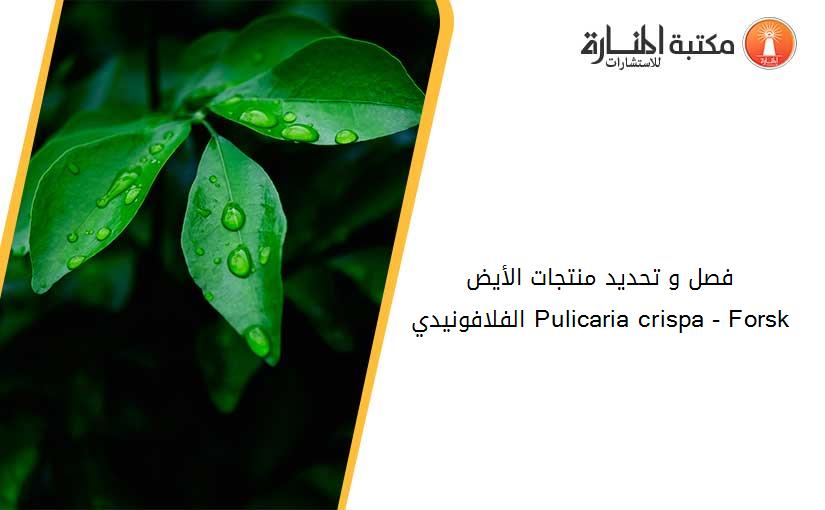 فصل و تحديد منتجات الأيض الفلافونيدي Pulicaria crispa - Forsk