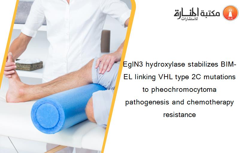 EglN3 hydroxylase stabilizes BIM-EL linking VHL type 2C mutations to pheochromocytoma pathogenesis and chemotherapy resistance
