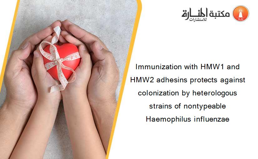 Immunization with HMW1 and HMW2 adhesins protects against colonization by heterologous strains of nontypeable Haemophilus influenzae