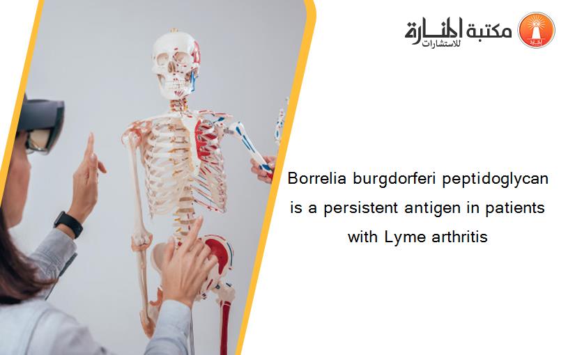 Borrelia burgdorferi peptidoglycan is a persistent antigen in patients with Lyme arthritis