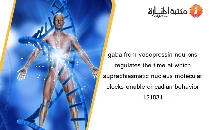 gaba from vasopressin neurons regulates the time at which suprachiasmatic nucleus molecular clocks enable circadian behavior 121831