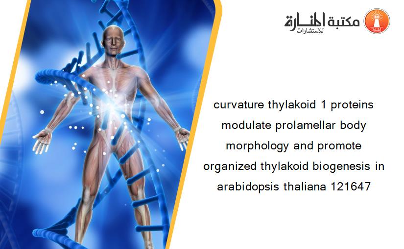 curvature thylakoid 1 proteins modulate prolamellar body morphology and promote organized thylakoid biogenesis in arabidopsis thaliana 121647