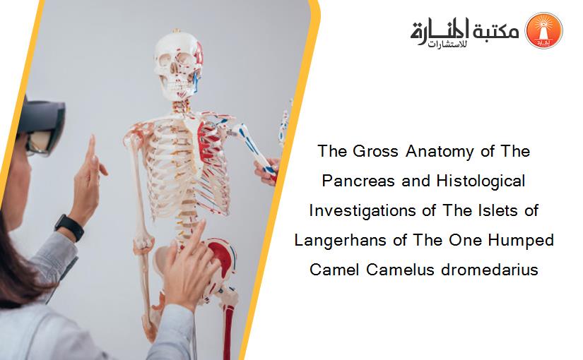 The Gross Anatomy of The Pancreas and Histological Investigations of The Islets of Langerhans of The One Humped Camel Camelus dromedarius
