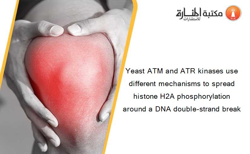 Yeast ATM and ATR kinases use different mechanisms to spread histone H2A phosphorylation around a DNA double-strand break