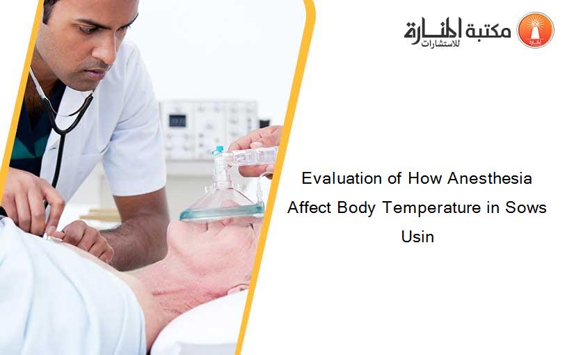 Evaluation of How Anesthesia Affect Body Temperature in Sows Usin