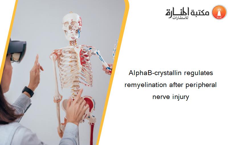 AlphaB-crystallin regulates remyelination after peripheral nerve injury