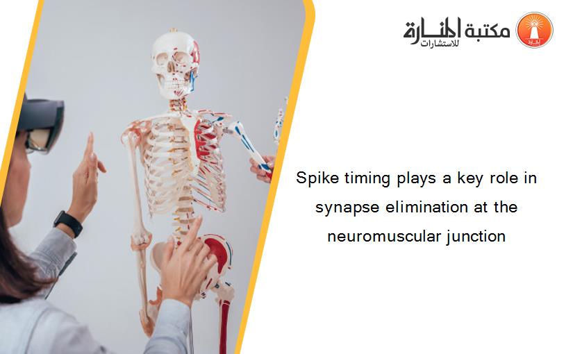 Spike timing plays a key role in synapse elimination at the neuromuscular junction