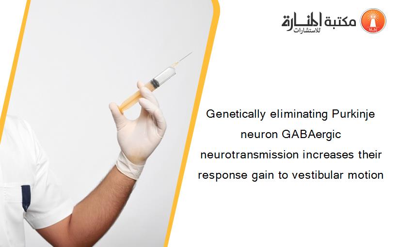 Genetically eliminating Purkinje neuron GABAergic neurotransmission increases their response gain to vestibular motion