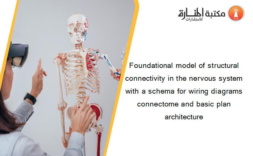Foundational model of structural connectivity in the nervous system with a schema for wiring diagrams connectome and basic plan architecture