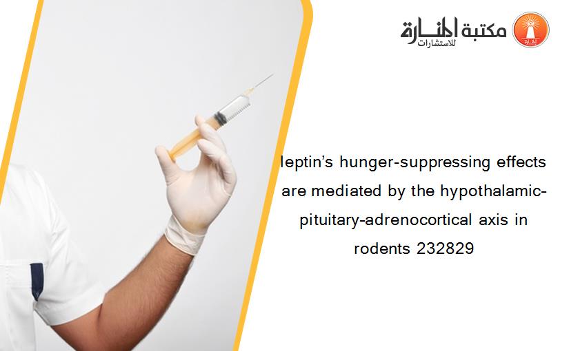 leptin’s hunger-suppressing effects are mediated by the hypothalamic–pituitary–adrenocortical axis in rodents 232829