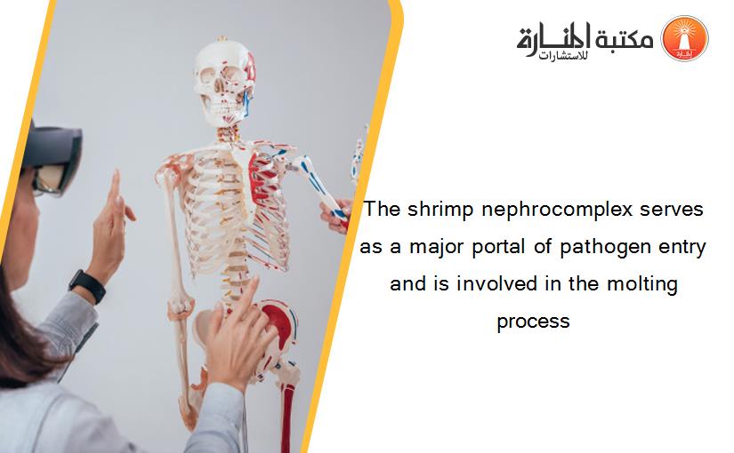 The shrimp nephrocomplex serves as a major portal of pathogen entry and is involved in the molting process