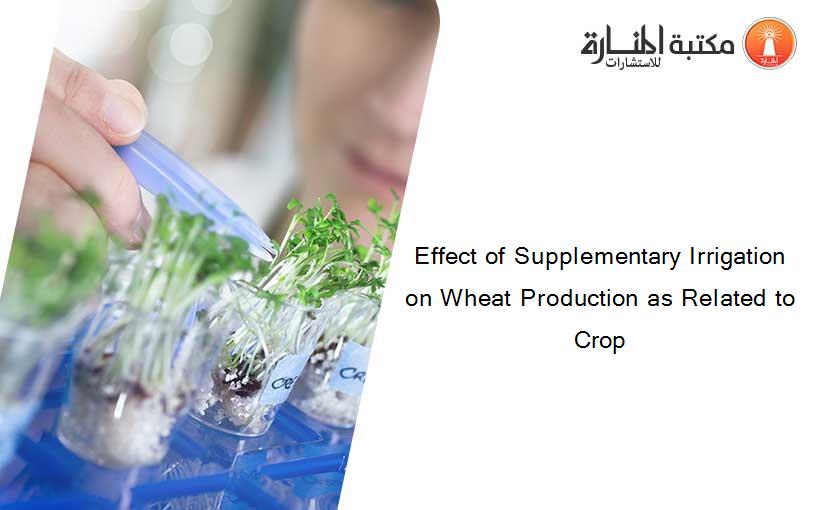 Effect of Supplementary Irrigation on Wheat Production as Related to Crop