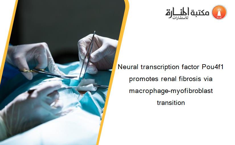 Neural transcription factor Pou4f1 promotes renal fibrosis via macrophage–myofibroblast transition