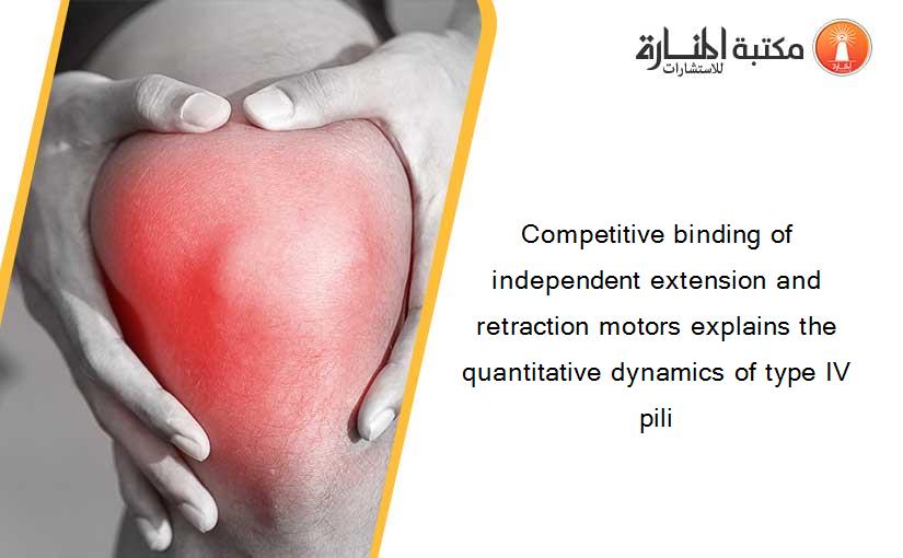 Competitive binding of independent extension and retraction motors explains the quantitative dynamics of type IV pili