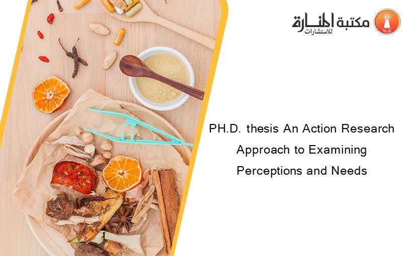 PH.D. thesis An Action Research Approach to Examining Perceptions and Needs