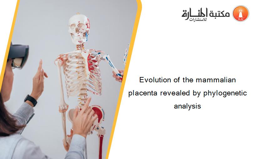 Evolution of the mammalian placenta revealed by phylogenetic analysis