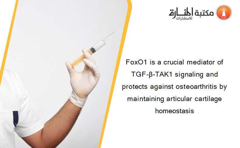 FoxO1 is a crucial mediator of TGF-β-TAK1 signaling and protects against osteoarthritis by maintaining articular cartilage homeostasis