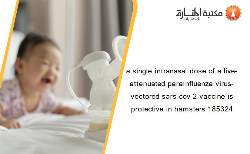 a single intranasal dose of a live-attenuated parainfluenza virus-vectored sars-cov-2 vaccine is protective in hamsters 185324