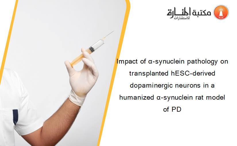 Impact of α-synuclein pathology on transplanted hESC-derived dopaminergic neurons in a humanized α-synuclein rat model of PD