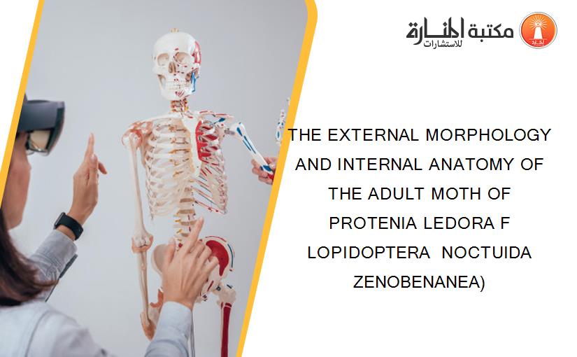 THE EXTERNAL MORPHOLOGY AND INTERNAL ANATOMY OF THE ADULT MOTH OF PROTENIA LEDORA F LOPIDOPTERA  NOCTUIDA  ZENOBENANEA)