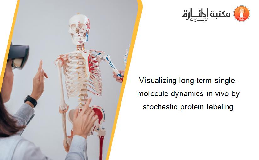 Visualizing long-term single-molecule dynamics in vivo by stochastic protein labeling